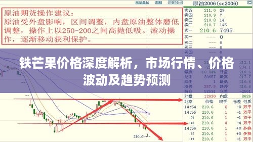 鐵芒果價格深度解析，市場行情、價格波動及趨勢預(yù)測