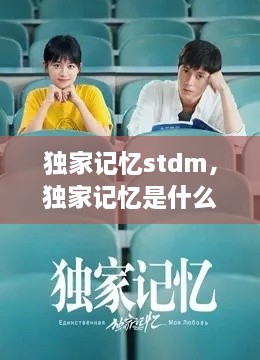 獨家記憶stdm，獨家記憶是什么意思 