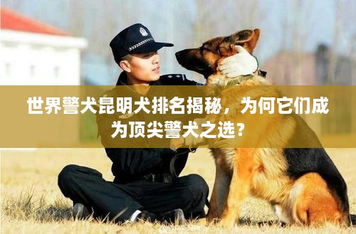 世界警犬昆明犬排名揭秘，為何它們成為頂尖警犬之選？