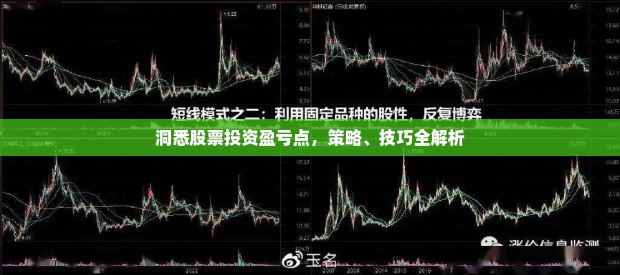 洞悉股票投資盈虧點(diǎn)，策略、技巧全解析