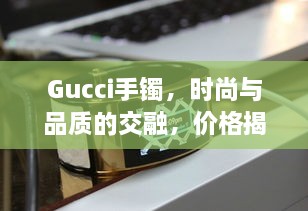 Gucci手鐲，時(shí)尚與品質(zhì)的交融，價(jià)格揭秘！