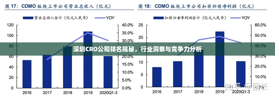 深圳CRO公司排名揭秘，行業(yè)洞察與競爭力分析