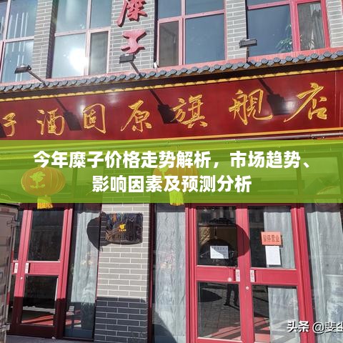 今年糜子價(jià)格走勢解析，市場趨勢、影響因素及預(yù)測分析