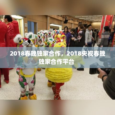 2018春晚獨家合作，2018央視春晚獨家合作平臺 