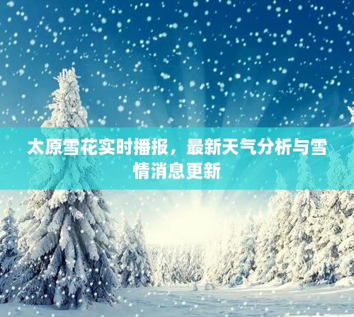 太原雪花實(shí)時(shí)播報(bào)，最新天氣分析與雪情消息更新