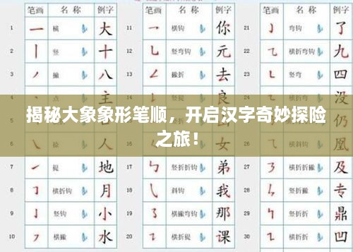 揭秘大象象形筆順，開(kāi)啟漢字奇妙探險(xiǎn)之旅！