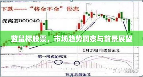 藍鼠標股票，市場趨勢洞察與前景展望