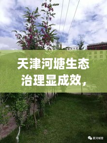 天津河塘生態(tài)治理顯成效，城市面貌煥然一新