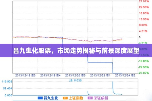 昌九生化股票，市場(chǎng)走勢(shì)揭秘與前景深度展望