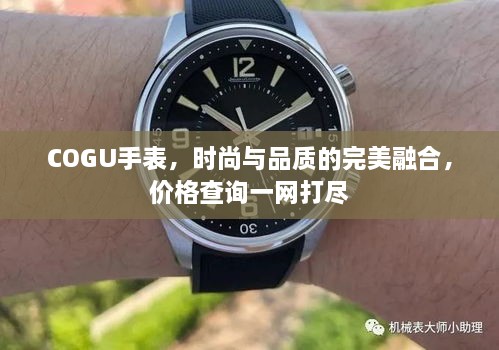 COGU手表，時尚與品質(zhì)的完美融合，價格查詢一網(wǎng)打盡