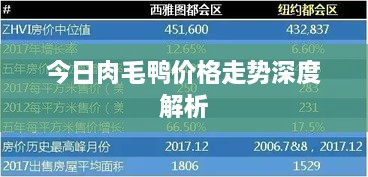 今日肉毛鴨價(jià)格走勢深度解析