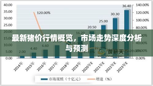 最新豬價(jià)行情概覽，市場走勢深度分析與預(yù)測