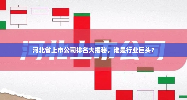 河北省上市公司排名大揭秘，誰是行業(yè)巨頭？