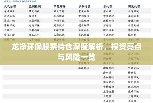 龍凈環(huán)保股票持倉深度解析，投資亮點與風險一覽