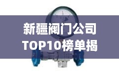 新疆閥門公司TOP10榜單揭曉，行業(yè)領(lǐng)軍者一覽無余