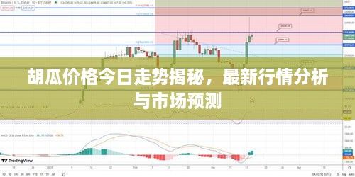 胡瓜價格今日走勢揭秘，最新行情分析與市場預(yù)測