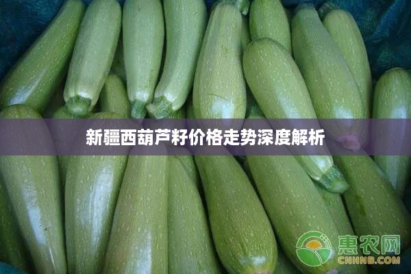 新疆西葫蘆籽價格走勢深度解析