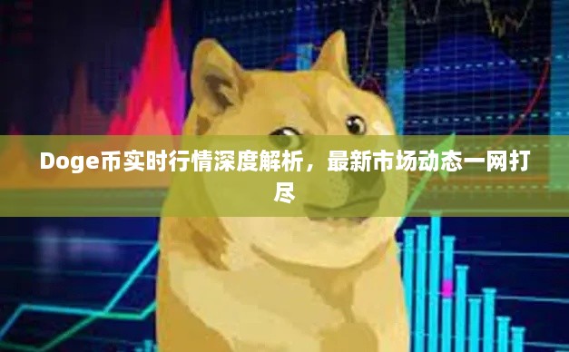 Doge幣實(shí)時(shí)行情深度解析，最新市場(chǎng)動(dòng)態(tài)一網(wǎng)打盡