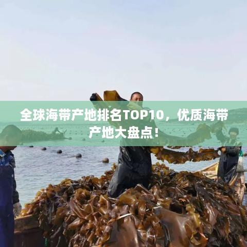 全球海帶產(chǎn)地排名TOP10，優(yōu)質(zhì)海帶產(chǎn)地大盤點(diǎn)！