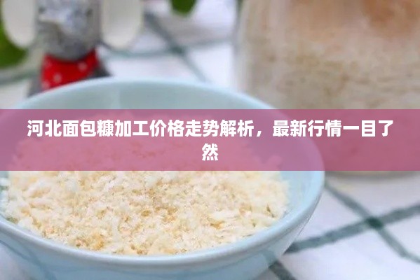 河北面包糠加工價(jià)格走勢(shì)解析，最新行情一目了然