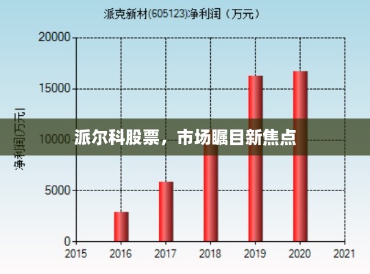 派爾科股票，市場矚目新焦點