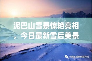 泥巴山雪景驚艷亮相，今日最新雪后美景報(bào)道！