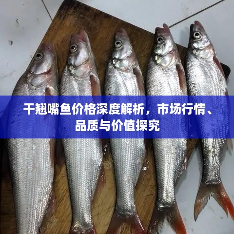 干翹嘴魚價(jià)格深度解析，市場(chǎng)行情、品質(zhì)與價(jià)值探究