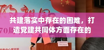 共建落實中存在的困難，打造黨建共同體方面存在的問題 