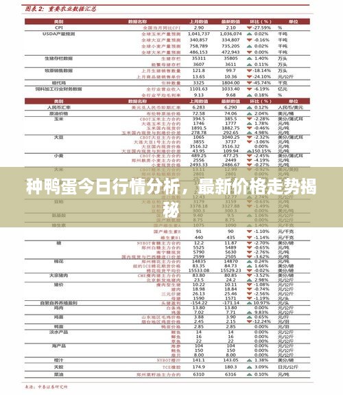 種鴨蛋今日行情分析，最新價(jià)格走勢(shì)揭秘