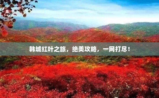 韓城紅葉之旅，絕美攻略，一網(wǎng)打盡！