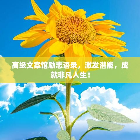 高級文案館勵志語錄，激發(fā)潛能，成就非凡人生！