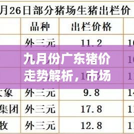 九月份廣東豬價走勢解析，市場行情、價格變動一網(wǎng)打盡