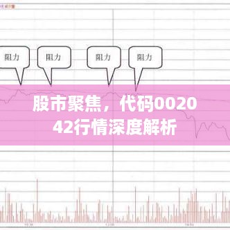 股市聚焦，代碼002042行情深度解析