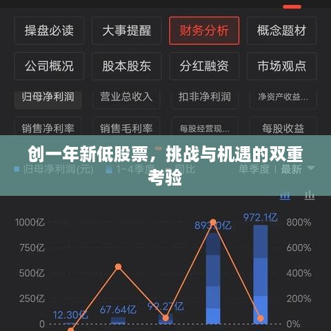 創(chuàng)一年新低股票，挑戰(zhàn)與機遇的雙重考驗