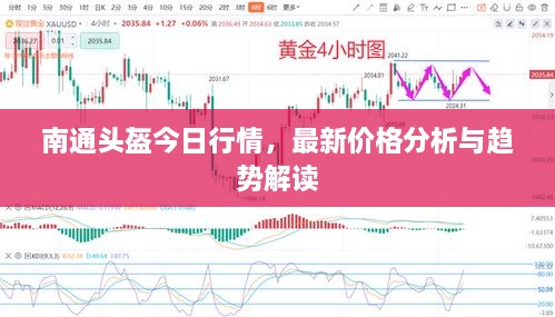 南通頭盔今日行情，最新價(jià)格分析與趨勢(shì)解讀