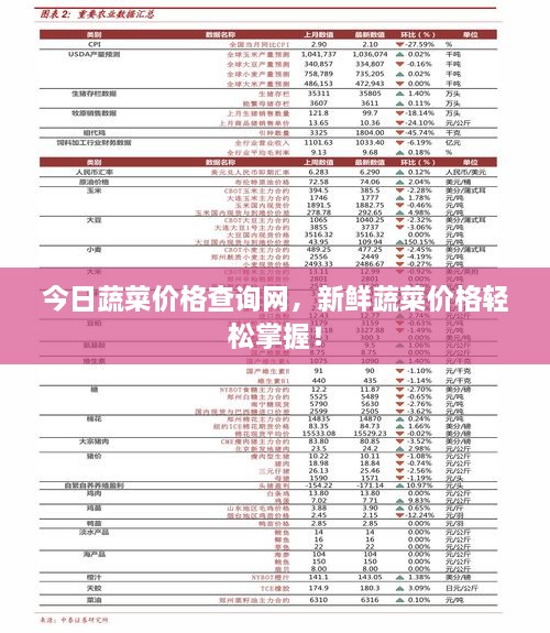 今日蔬菜價(jià)格查詢網(wǎng)，新鮮蔬菜價(jià)格輕松掌握！