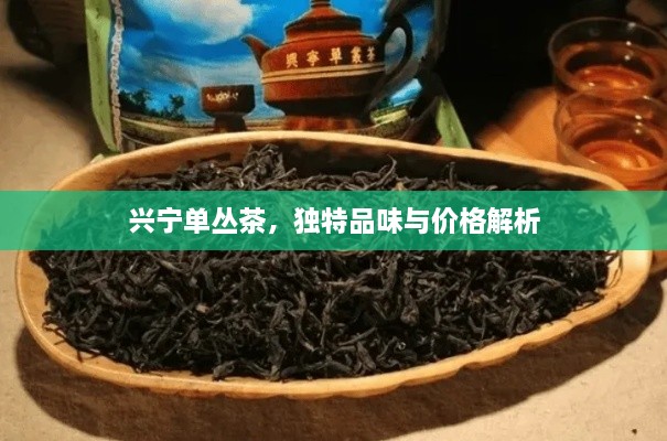 興寧單叢茶，獨(dú)特品味與價(jià)格解析