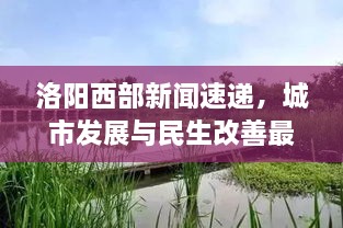 洛陽西部新聞速遞，城市發(fā)展與民生改善最新動態(tài)報道