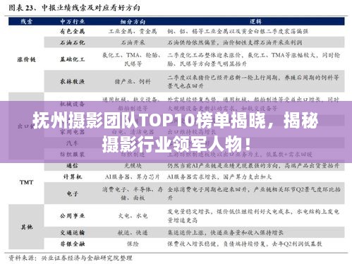 撫州攝影團隊TOP10榜單揭曉，揭秘攝影行業(yè)領(lǐng)軍人物！