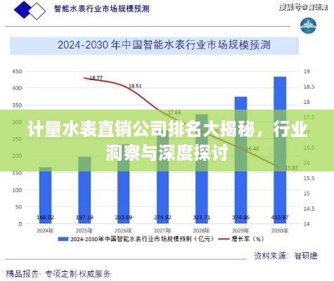 計(jì)量水表直銷(xiāo)公司排名大揭秘，行業(yè)洞察與深度探討