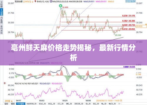 亳州鮮天麻價(jià)格走勢揭秘，最新行情分析