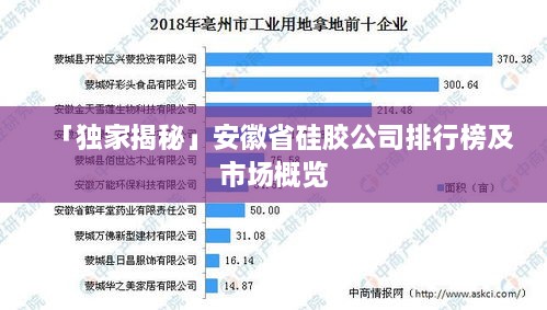 「獨(dú)家揭秘」安徽省硅膠公司排行榜及市場(chǎng)概覽