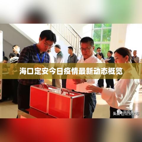 ?？诙ò步袢找咔樽钚聞討B(tài)概覽