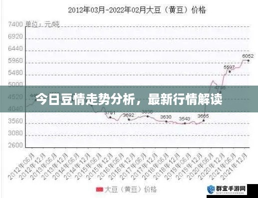 今日豆情走勢(shì)分析，最新行情解讀