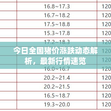 今日全國(guó)豬價(jià)漲跌動(dòng)態(tài)解析，最新行情速覽