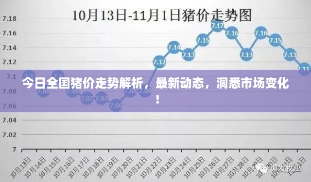 今日全國(guó)豬價(jià)走勢(shì)解析，最新動(dòng)態(tài)，洞悉市場(chǎng)變化！