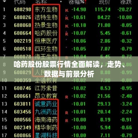 哈藥股份股票行情全面解讀，走勢、數(shù)據(jù)與前景分析