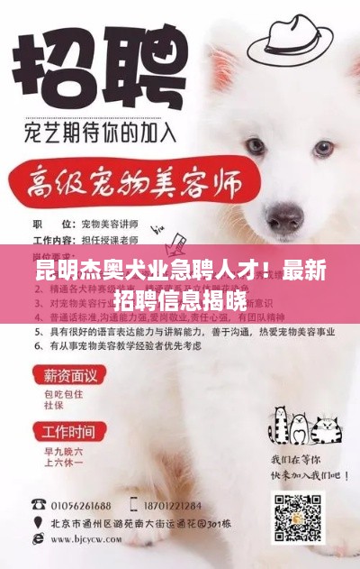 昆明杰奧犬業(yè)急聘人才！最新招聘信息揭曉