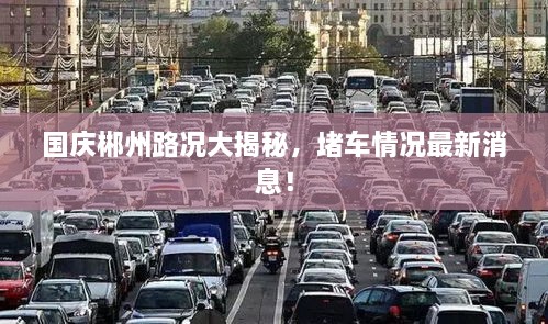 國慶郴州路況大揭秘，堵車情況最新消息！