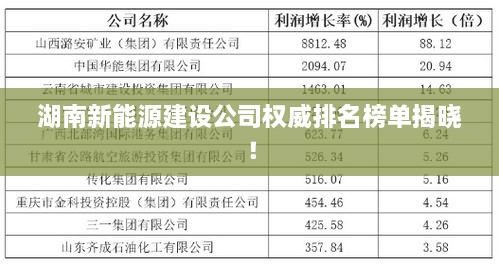 湖南新能源建設(shè)公司權(quán)威排名榜單揭曉！